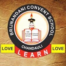 Brij Nandani Convent School